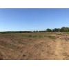 Продажа большого земельного участка в Гурии недалеко от Батуми